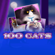 100 Cats game thumbnail